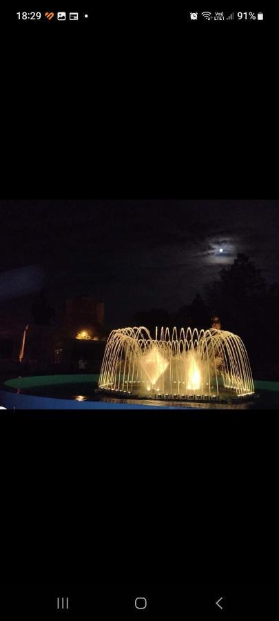 Casa Cojocaru Panzió Turnu Măgurele Kültér fotó