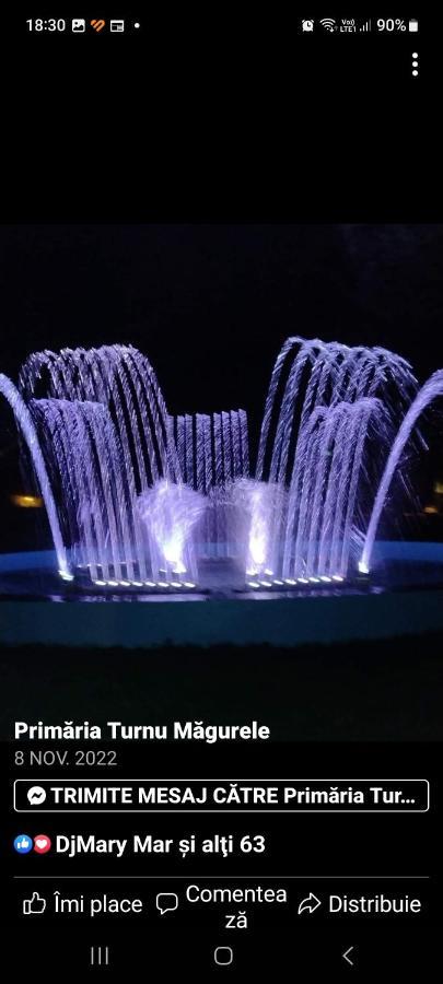 Casa Cojocaru Panzió Turnu Măgurele Kültér fotó